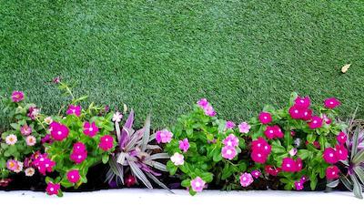 برفیت نیچریست ریزورت