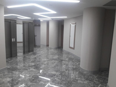 نیو سویتز