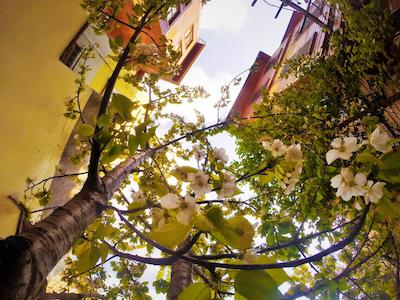 اتامان اس پیر هتل