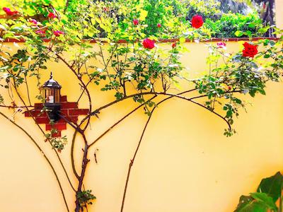 اتامان اس پیر هتل