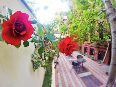 اتامان اس پیر هتل