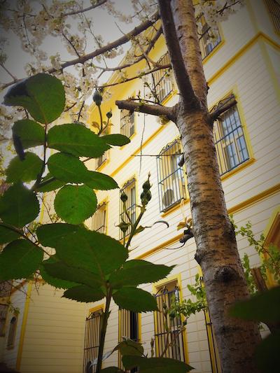 اتامان اس پیر هتل