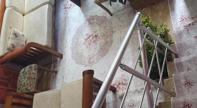 لا پتیت مایسون