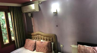 لا پتیت مایسون