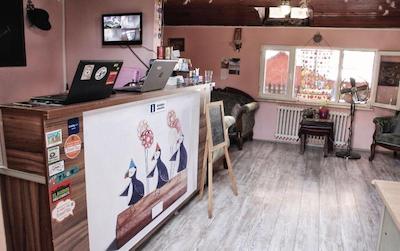 پافین هاستل