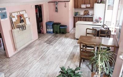 پافین هاستل