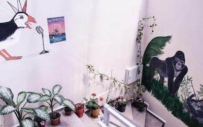 پافین هاستل