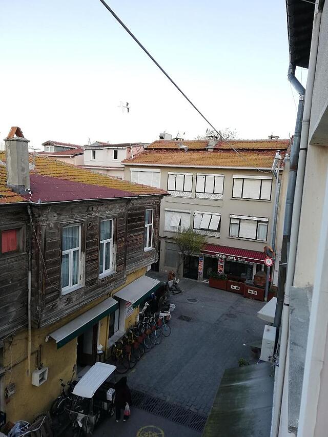 سلانیکلی پانسیون هیبلید