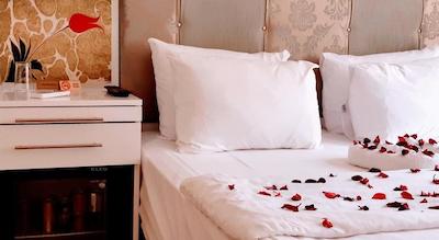 والنوت شل هتل