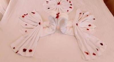 والنوت شل هتل