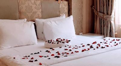 والنوت شل هتل