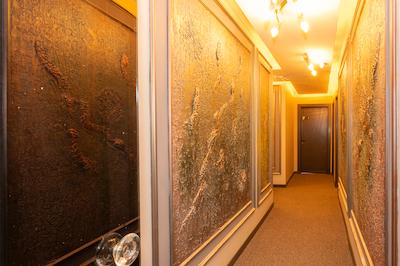 وایت پالاس هتل