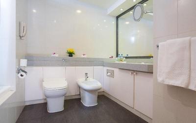 ملینیوم پلازا داون تاون