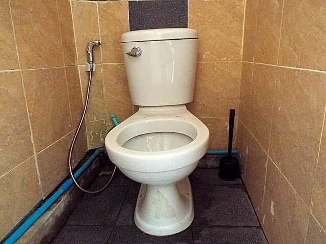 هاستل ۲۴
