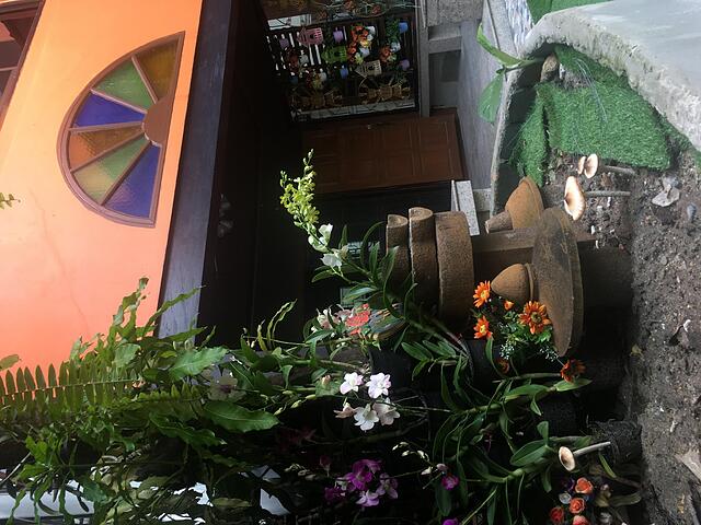 ۴ جی لاگ بانگوک