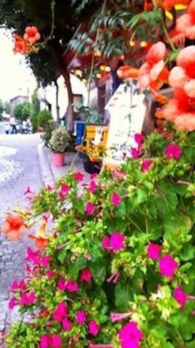 نزاهت سلطان آپارت هتل