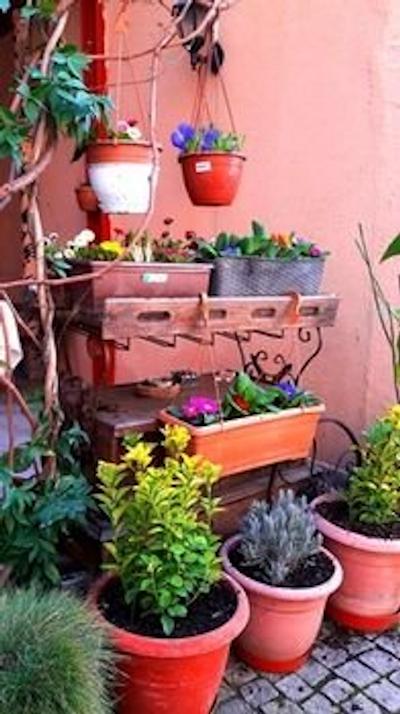 نزاهت سلطان آپارت هتل