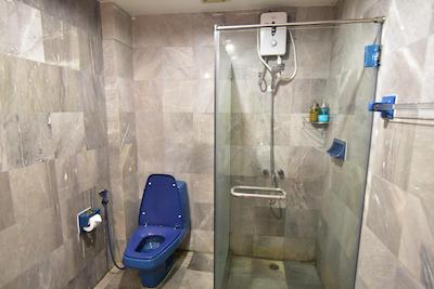 نگو هوم انشنت هتل