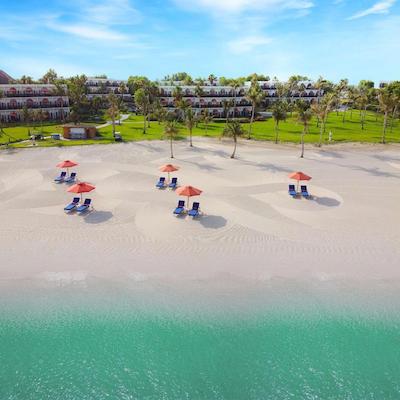 جی ای پالم تری کورت