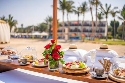 جی ای پالم تری کورت