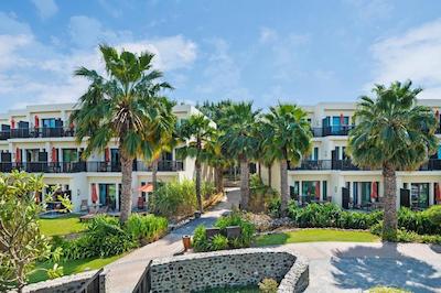 جی ای پالم تری کورت