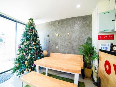 اویو ۴۹۱ ۵ دایموند