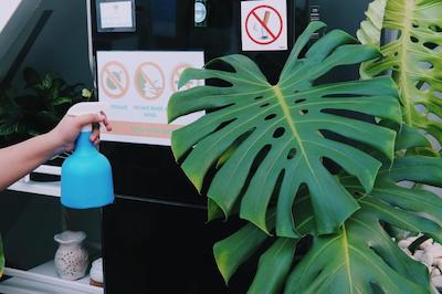 مورن اینگ هاستل