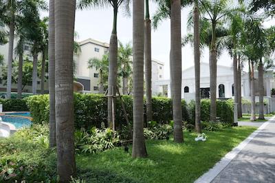 د گرین ویوو هتل