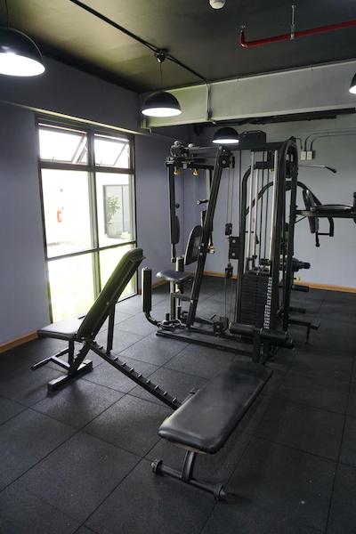 د گرین ویوو هتل