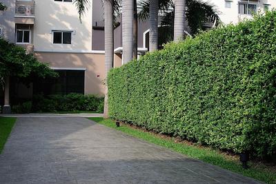 د گرین ویوو هتل