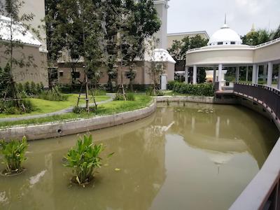 د گرین ویوو هتل