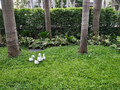 د گرین ویوو هتل