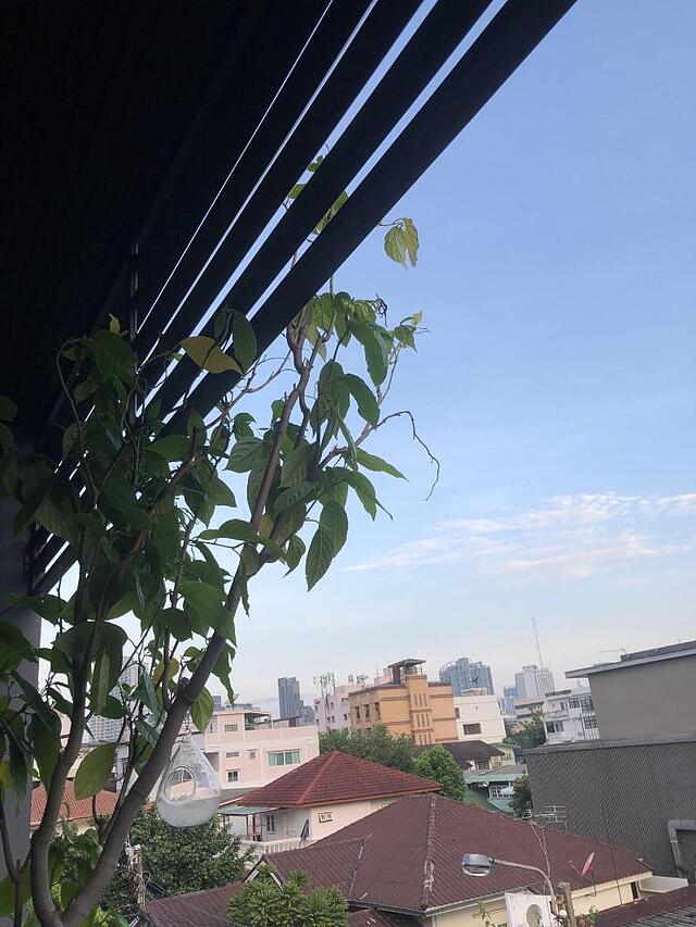 سنتر هاوس