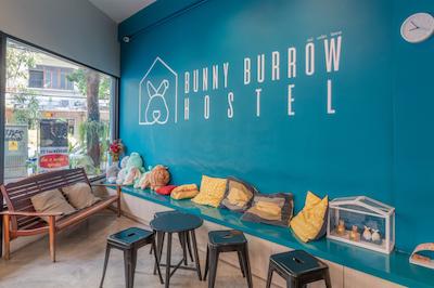 بانی بورو هاستل