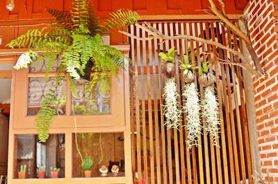 پیلین گست روم