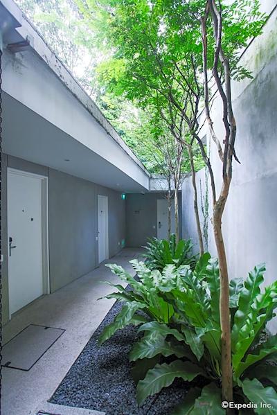 لوید اس اسن