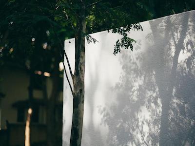 لوید اس اسن