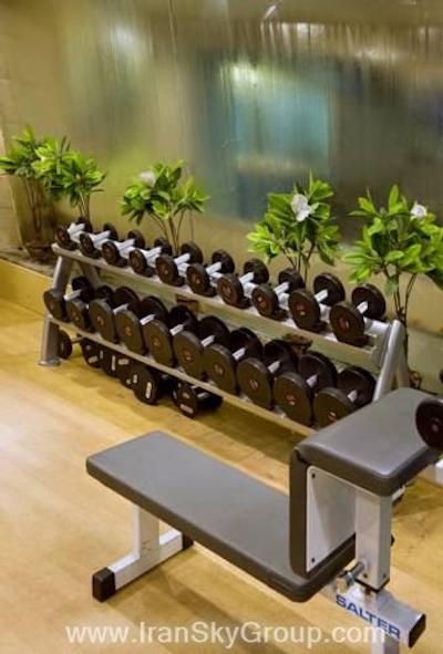 سوریا نیو دهلی