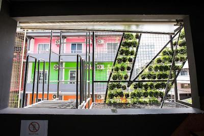 کیوبیک بانکوک هاستل