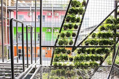 کیوبیک بانکوک هاستل