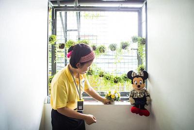 کیوبیک بانکوک هاستل