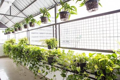 کیوبیک بانکوک هاستل