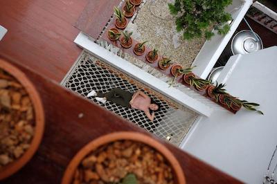 هاس ستورن 21