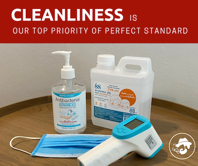 هاوس آف پاپا بانکوک سیام