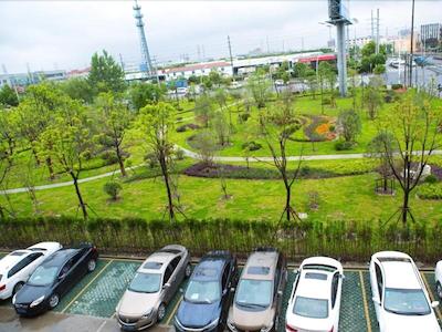 گرین ترین این شانگهای کائوهجینگ سونگجیانگ جیوکسین