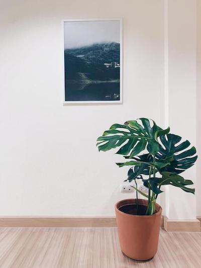 هاستباکس بی کی کی