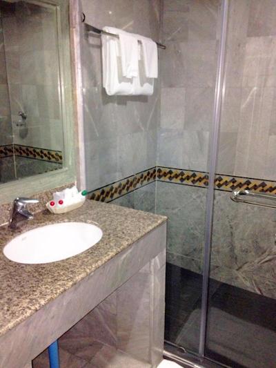 لی پلیس هتل