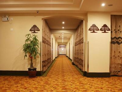 گرین تری این شانگهای هونگکیادو ترنسپورت هاب کیبا