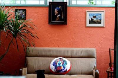 پیمتونگ پلیس