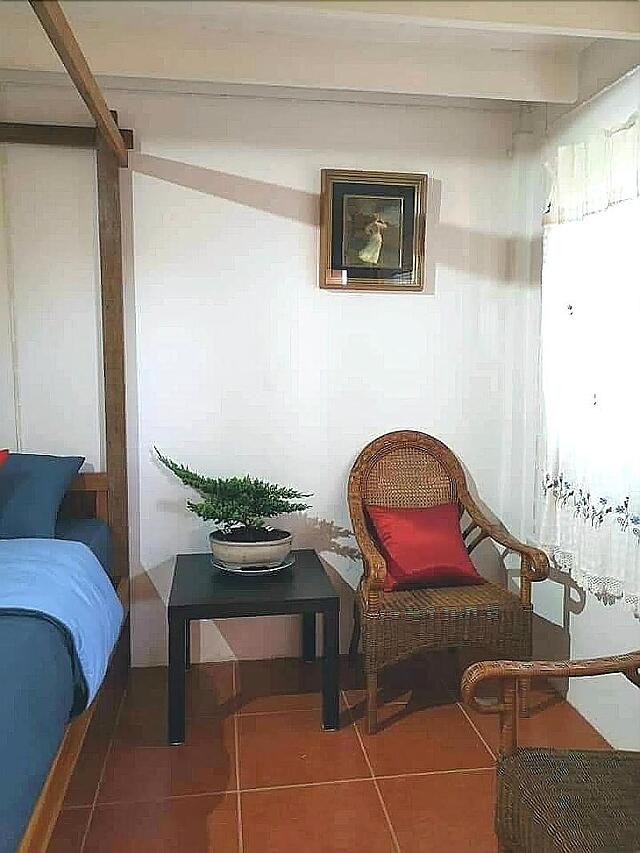 پیمتونگ پلیس